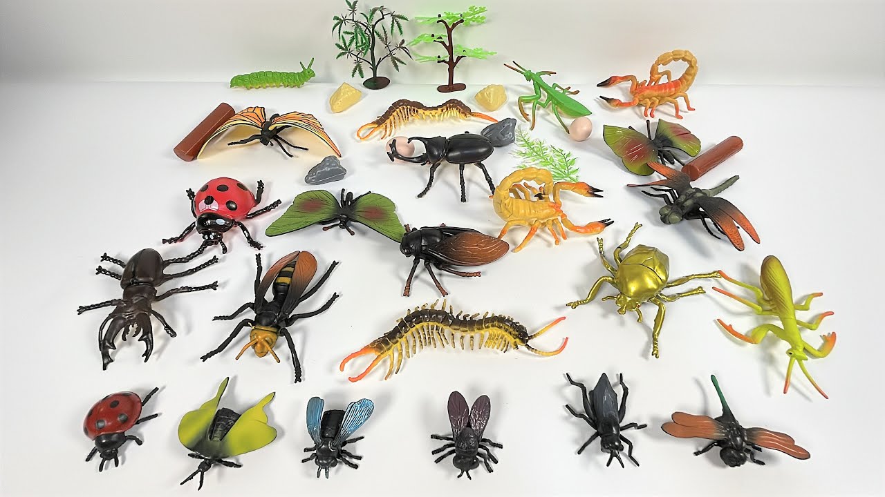 INSECTS:  Realistic Toy Collection | ASMR Unboxing