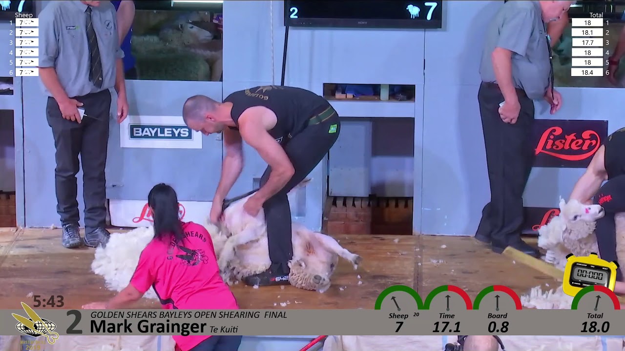 2019 Open Shearing Final - 2019 Golden Shears