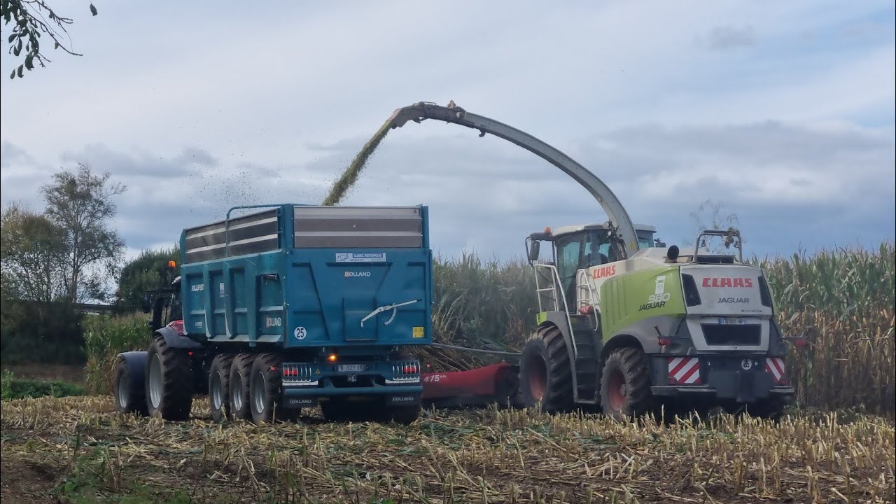 ensilage de maïs 2023 en Normandie