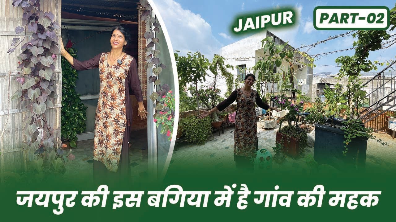 कौन कहता है बिना पैसे खर्च किए बाग़वानी नहीं हो सकती 😱🪴 मैं करती हूँ Zero Budget Gardening 😲 Part-02