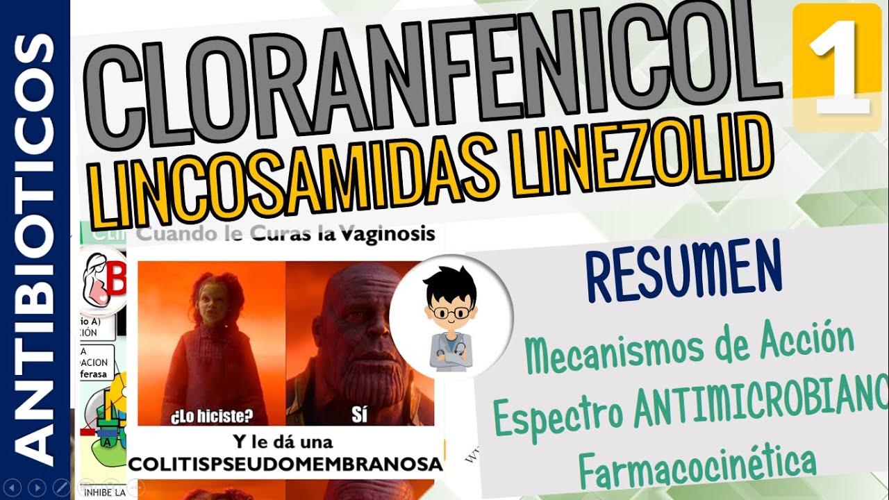 CLORANFENICOL, LINCOSAMIDAS, LINEZOLID, ESTREPTOGRAMINAS
