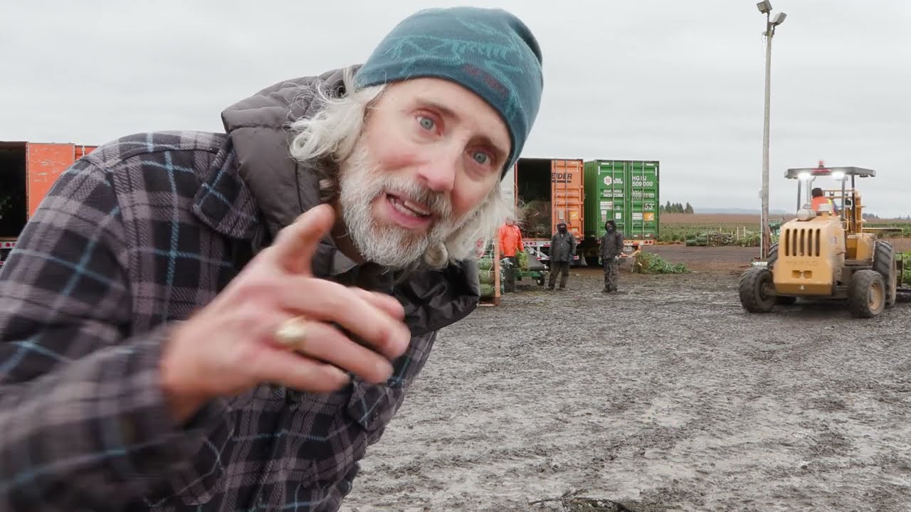 Holiday Tree Farming by Helicopter?! | Curator on the Loose!