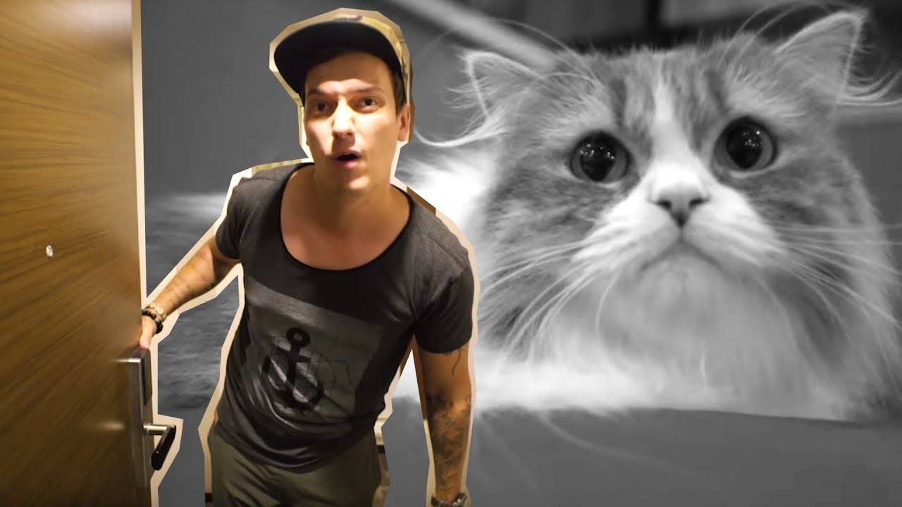 CAT OVERLOAD & Room-Tour in Tokio! Welcome to my Crib!