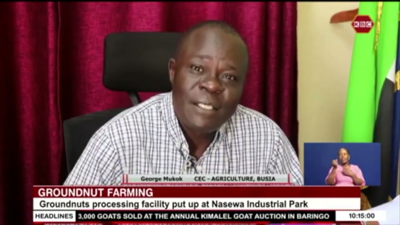 Groundnuts processing facility put up at Nasewa Industrial Park, Busia county