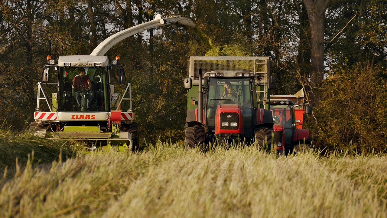 270 PS BEAST in der GPS Ernte | MF 7499 | Claas Jaguar 870 | Paderborner Agrarvideos