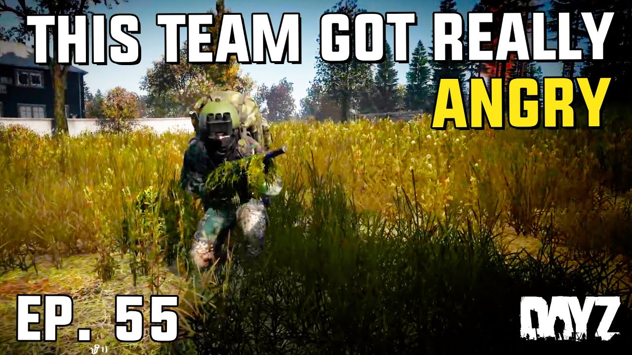 The counter raiding harassment continues - DayZ