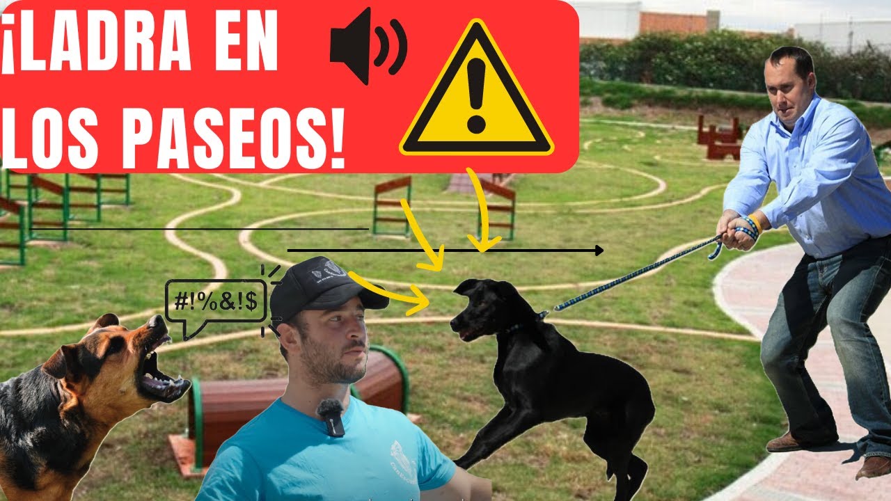 ¿Por que mi PERRO LADRA en los paseos de la calle? KUTXI CAP2