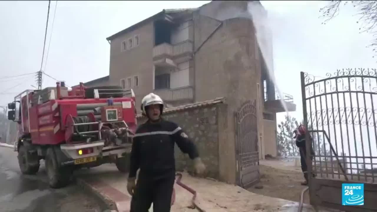 Algeria forest fires: Dozens killed in Kabylie region &bull; FRANCE 24 English