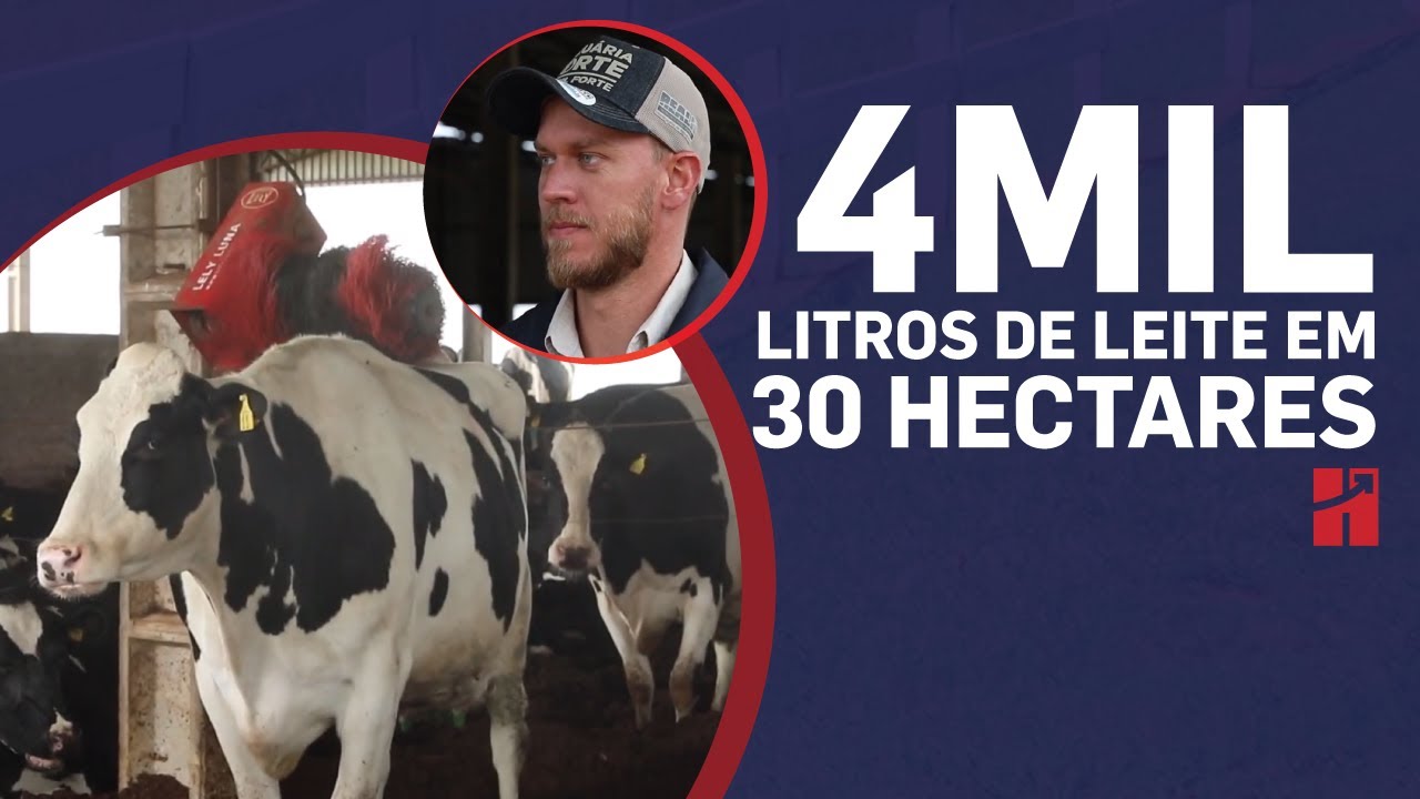Caso de Sucesso 273 | 4 Mil Litros de Leite em 30 Hectares | Casos de Sucesso