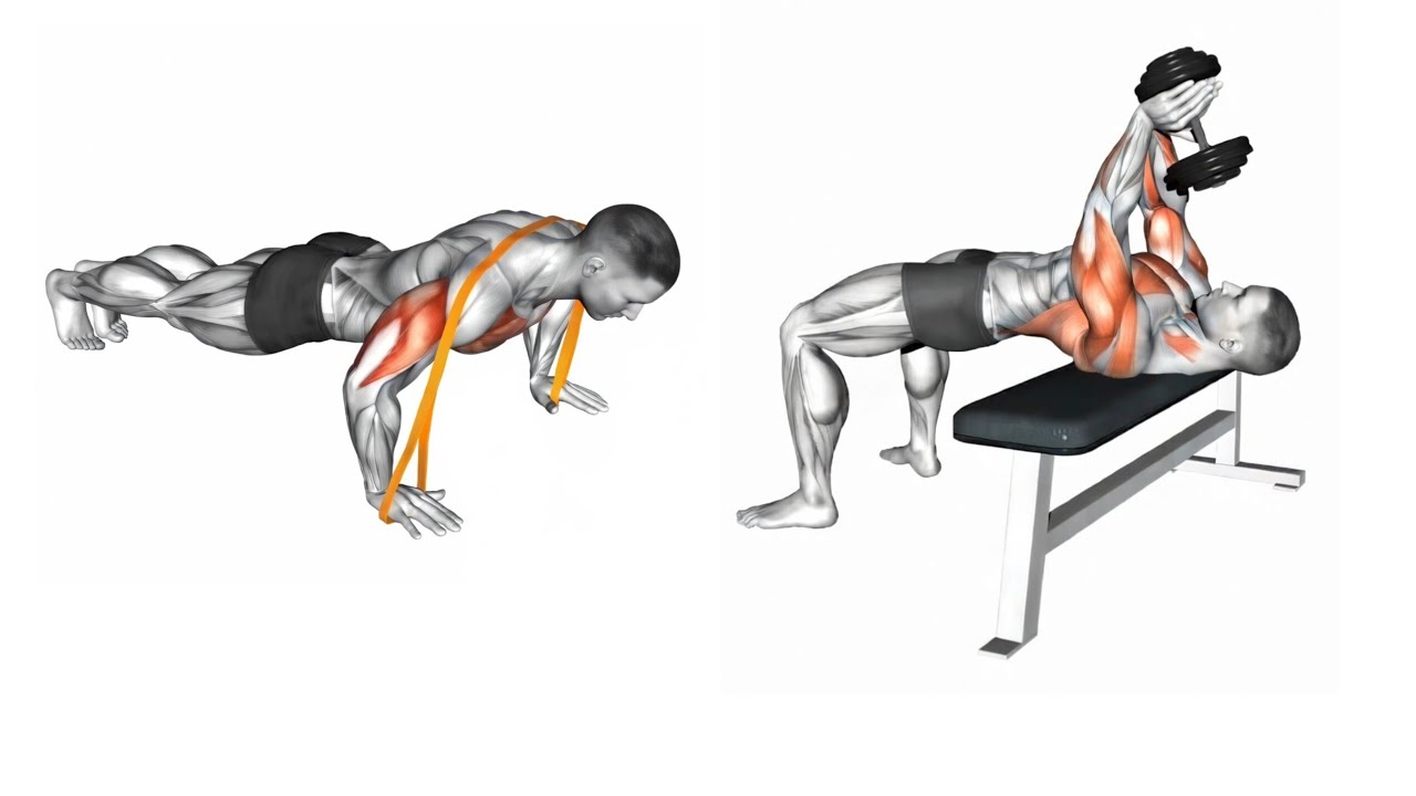 How To Chest Workout 7 Day Challenge 💪