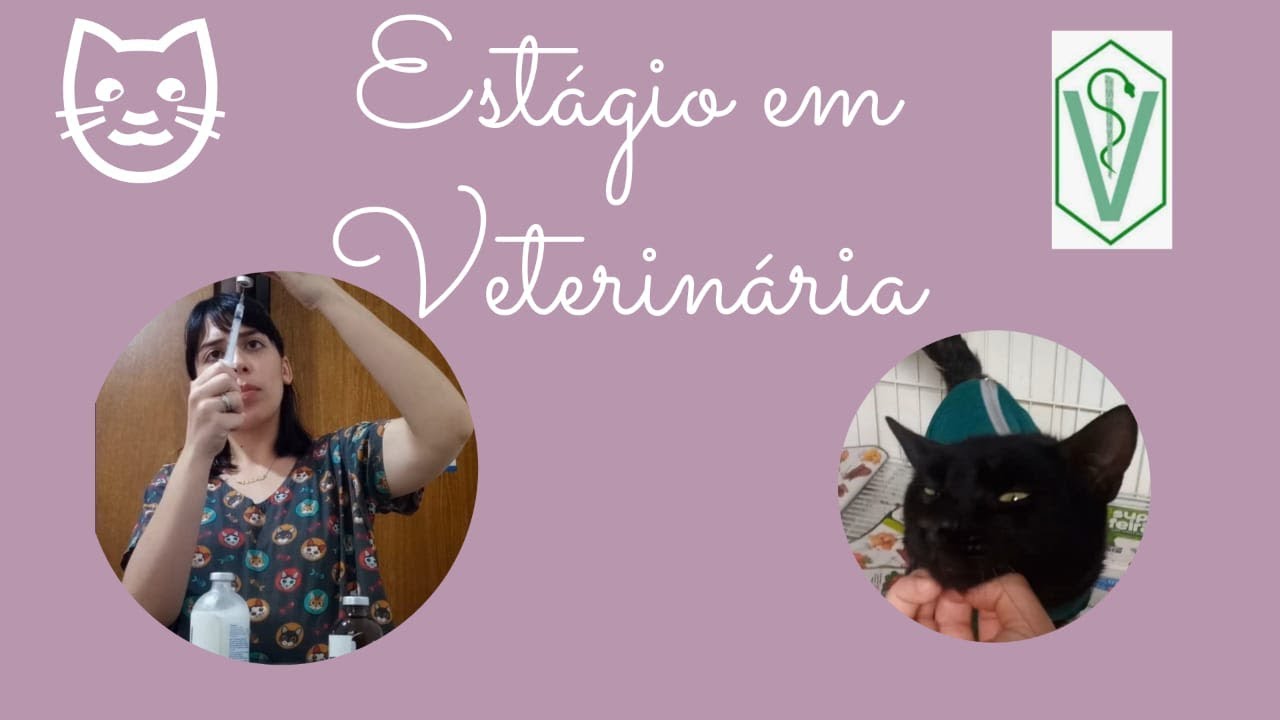 um dia no ESTÁGIO de MEDICINA VETERINÁRIA comigo
