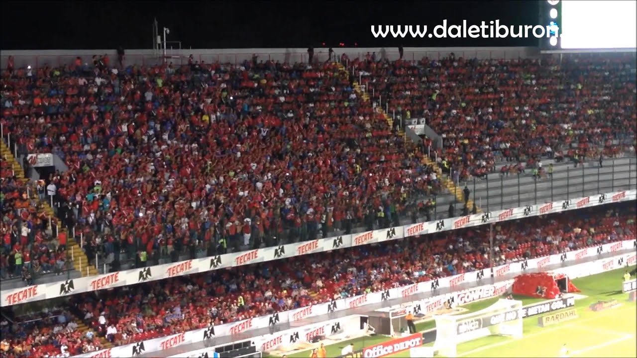 Veracruz 2-1 Puebla // Canciones de la barra escuala y festejo de gol