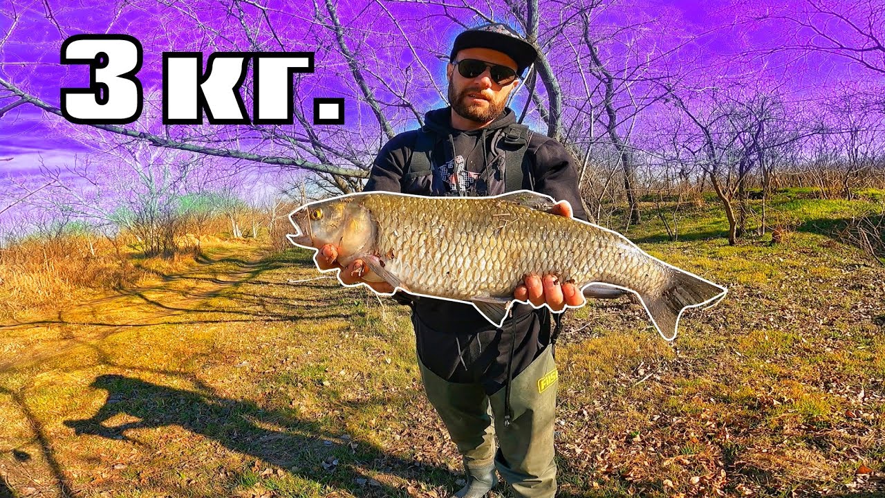 РЕКОРДЕН КЕФАЛ ! СИГНАЛ до 112 - ТОНОВЕ БОКЛУЦИ в МАРИЦА !