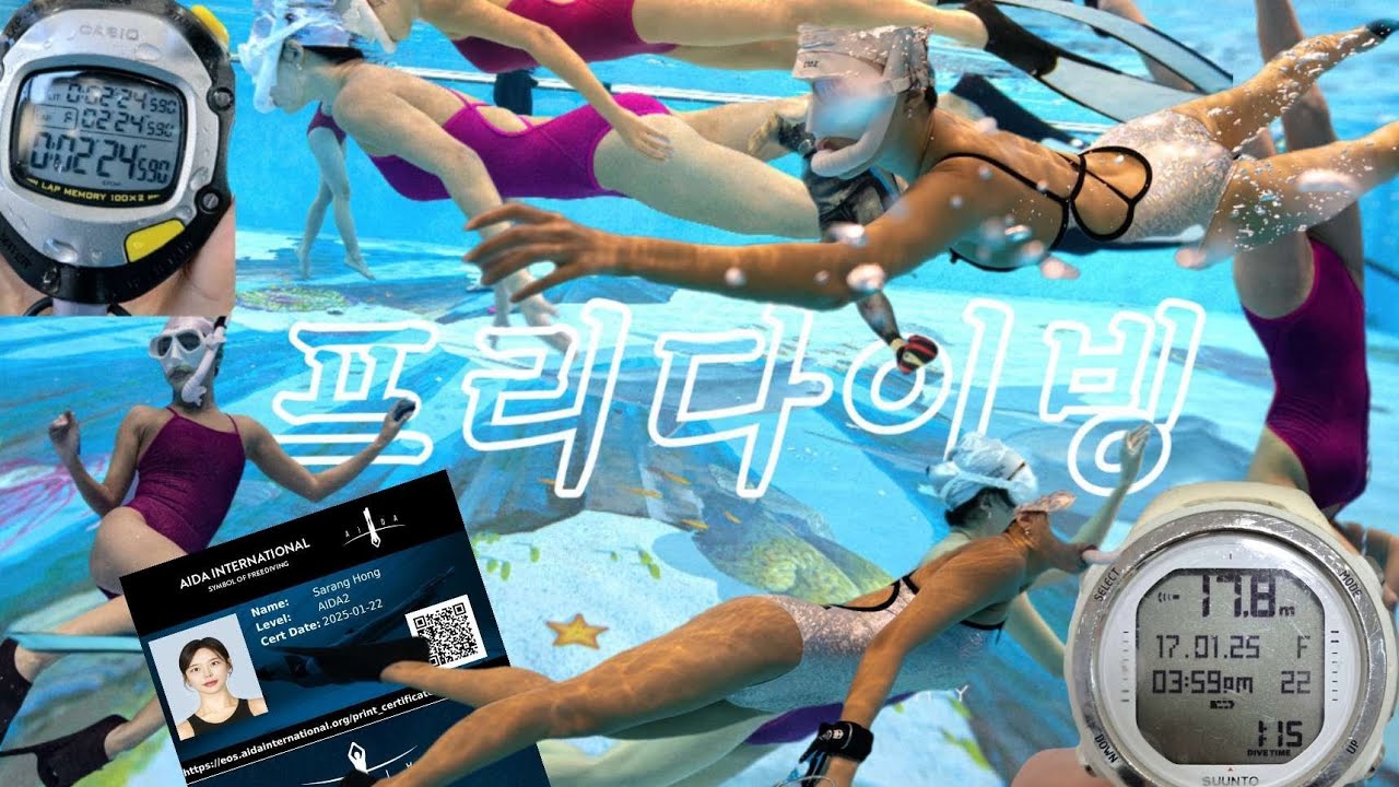 🥽프리다이빙🥽 AIDA1,2 / 북항마리나 밀양아리랑잠수풀 수영복추천 호랑뚱땅
