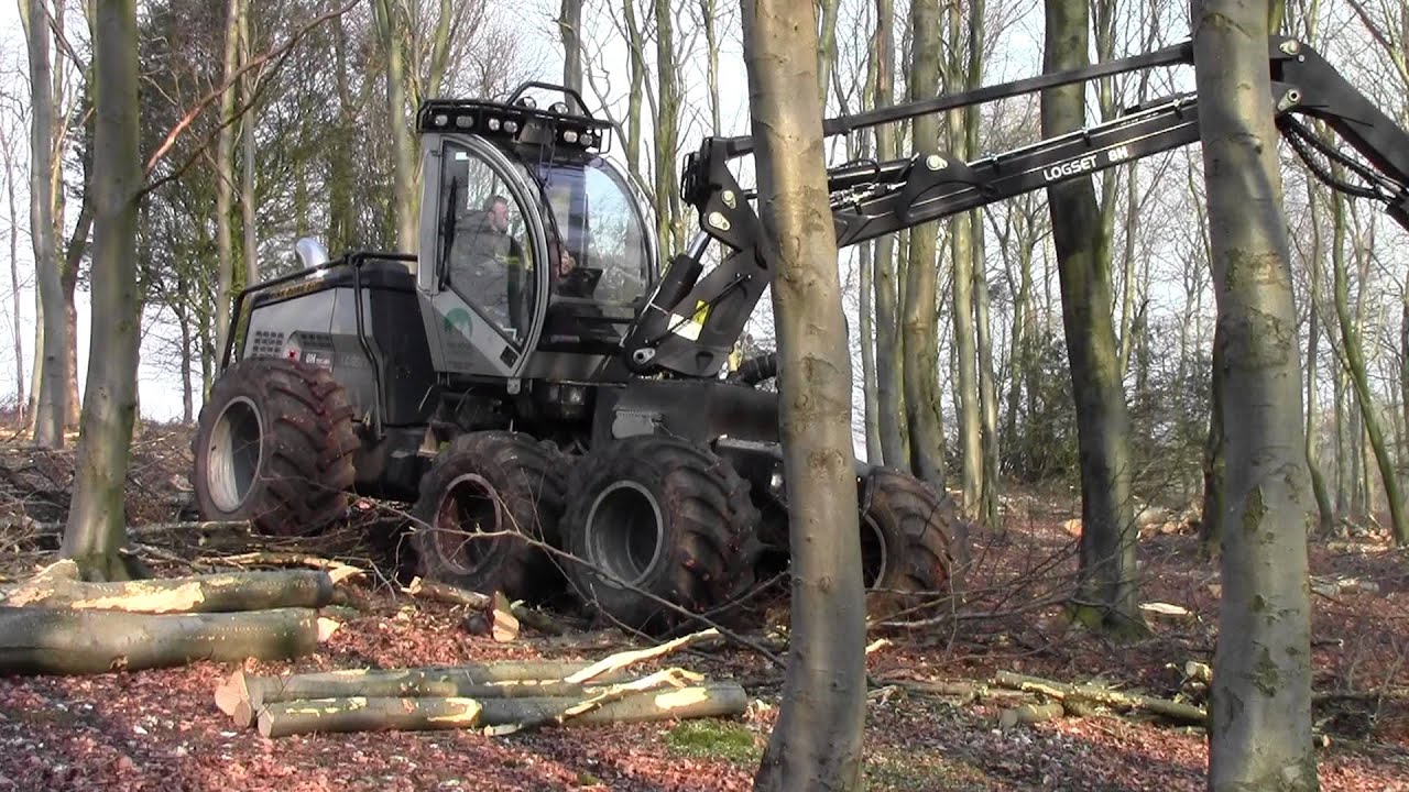 Treewood Harvesting - Hardwood Thinning with Logset 8H