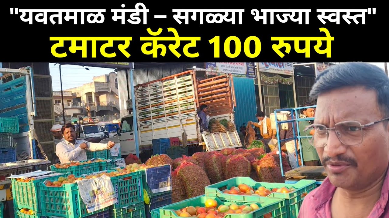 यवतमाळ भाजी मंडी आजचे भाव | मार्च शुक्रवार मार्केट अपडेट🤔