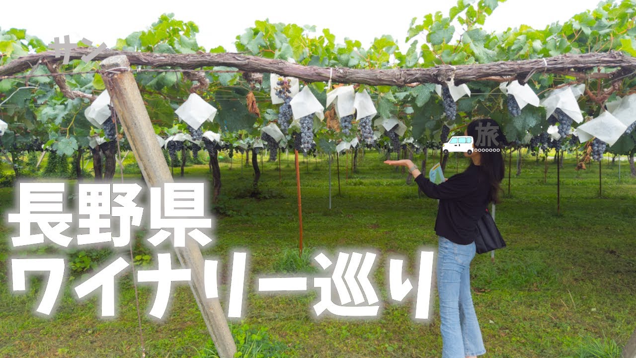 【長野県観光】ワイナリー巡りをして試飲・購入・農場見学を楽しむ！①五一わいん②サンサンワイナリー[Nagano Prefecture Tourism] Winery Tour