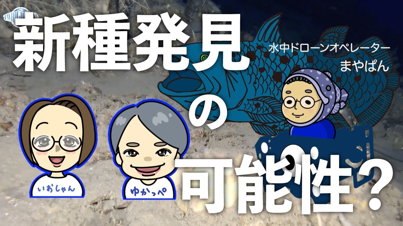 【インタビューfile.1-2】深海の謎へ挑む男・まやぱんその２ /日本でシーラカンスに出会いたい！