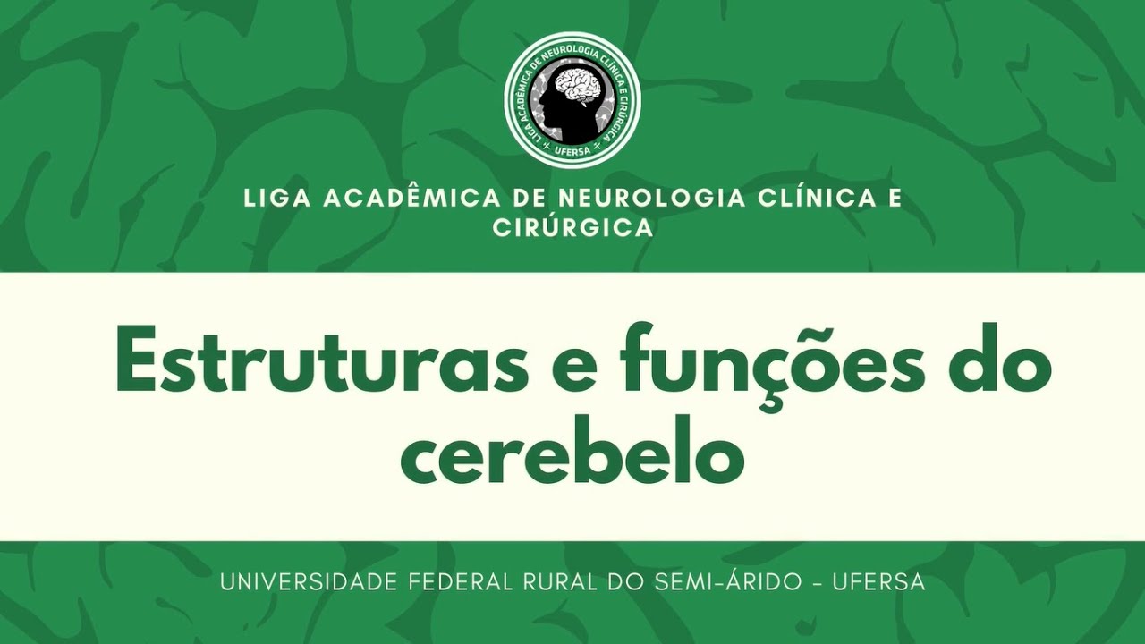 Estruturas e funções do cerebelo - Aula 14 LANCC