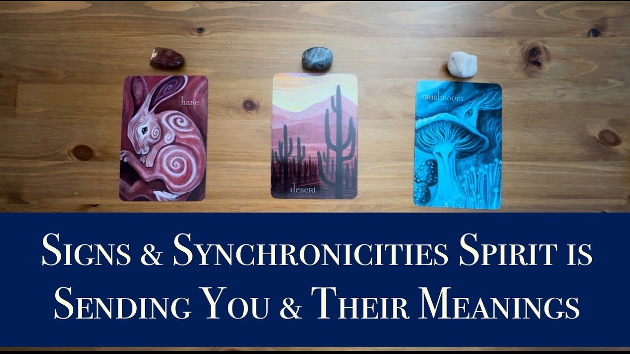 ✨Signs & Synchronicities Spirit is Sending You and What they Mean🦋Pick a Card - Tarot Reading