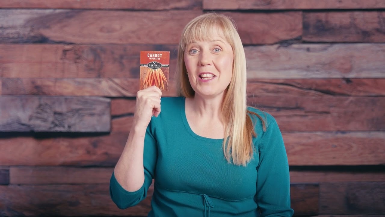 Imperator 58 Carrot Seeds