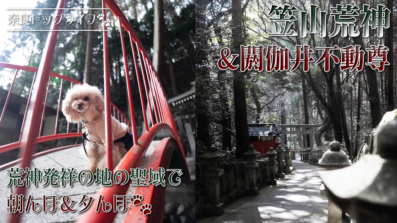 【シネマティックペットVlog】日本三大荒神 役行者や弘法大師が祀る荒神様でお散歩🐾  -  笠山荒神・閼伽井不動尊