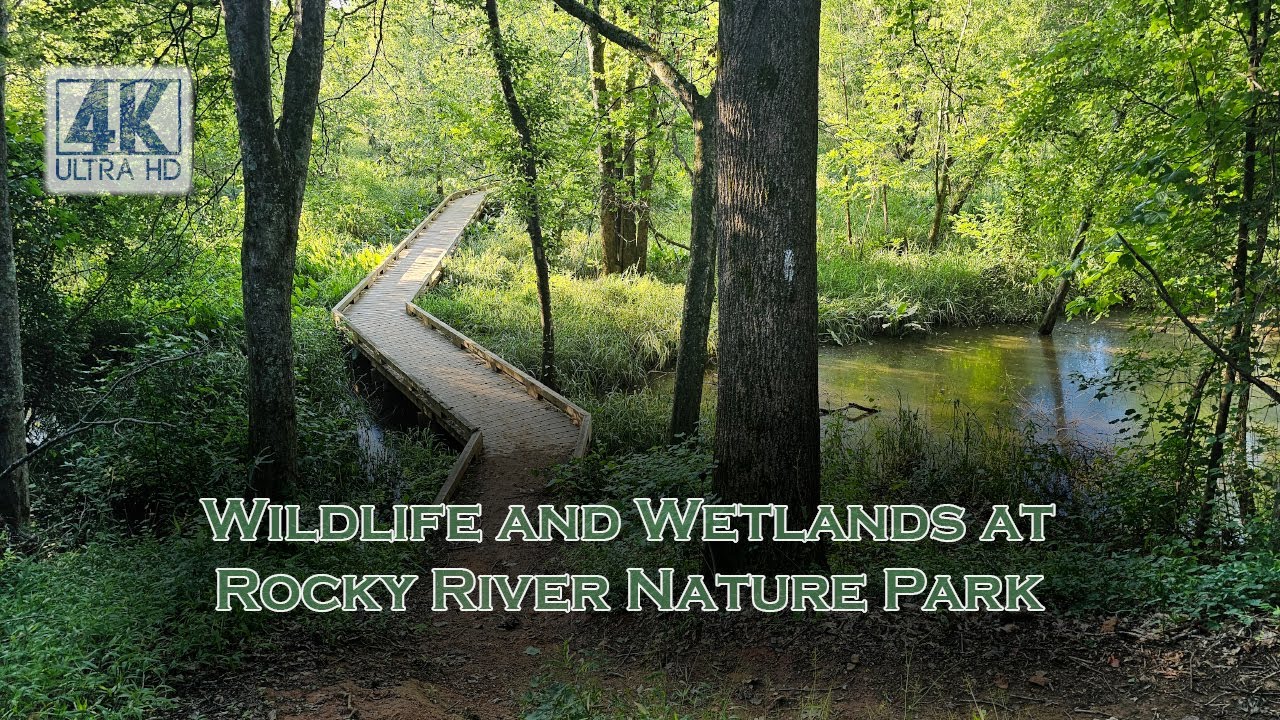 Wildlife and Wetlands at Rocky River Nature Park