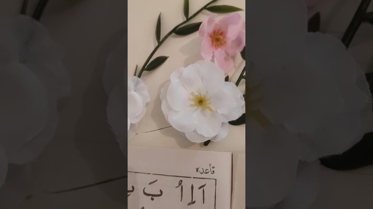 Жаш курагынызда,окуп,уйронуп алсаныз жакшы🕌📗💼болот