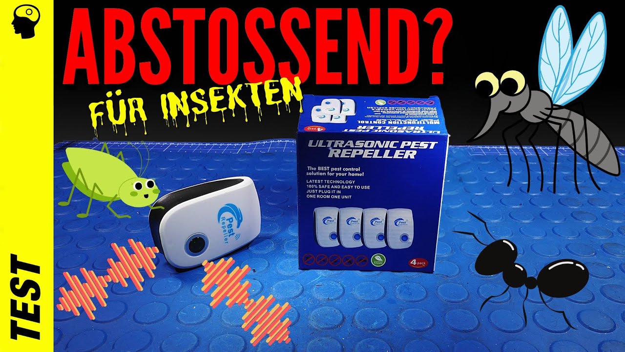Ultraschall Insekten Killer? Mal 