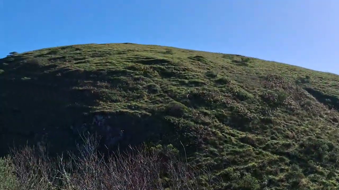 Walk to the Coast on a Sunny Morning,  2/12/26