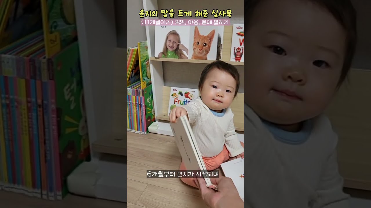 돌전 아기 말트이는 법 ㅣ멍멍, 야옹, 음메, 물 말할 수 있어요 #koreanbaby #babylanguage #koreanbabyvlog