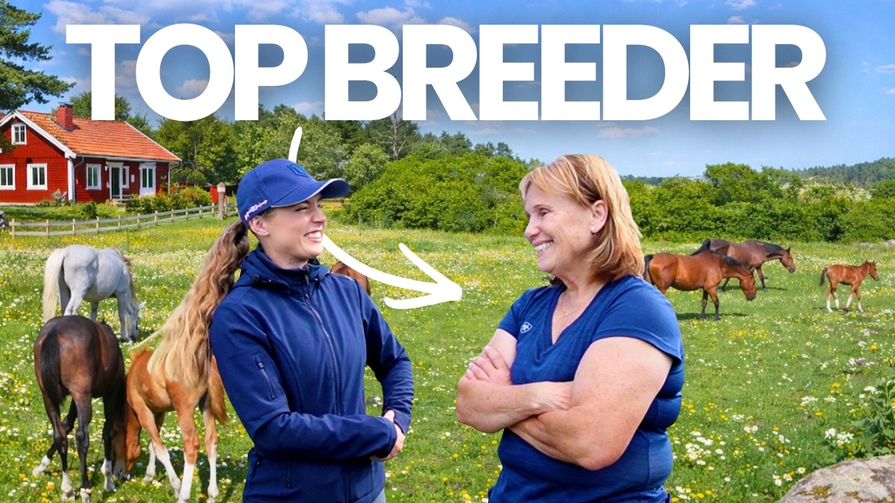 How Elite Sport Horses Are Bred