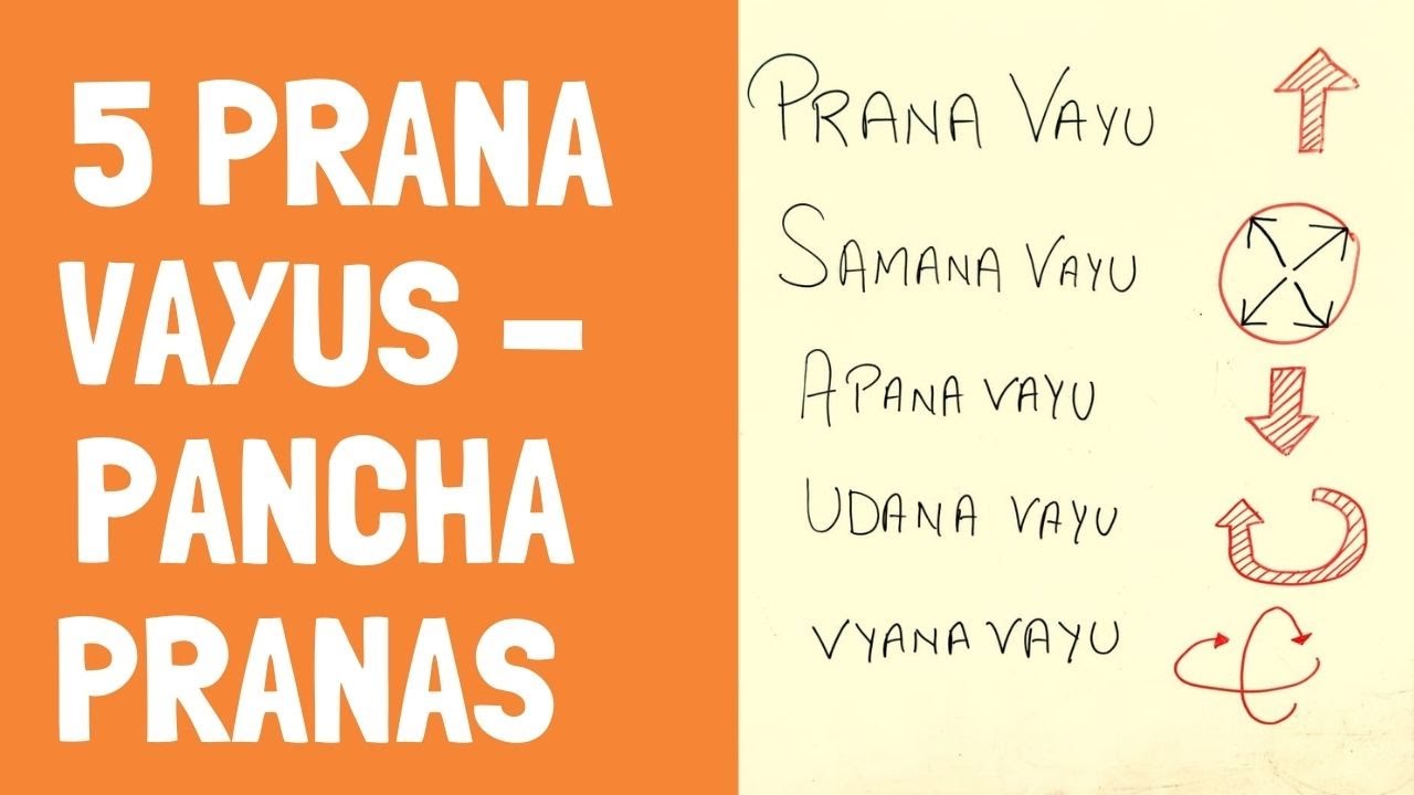 Pancha Pranas (The Five Prana Vayus) Explained: Prana, Saman, Apana, Udana, Vyana  | Yogic IQ