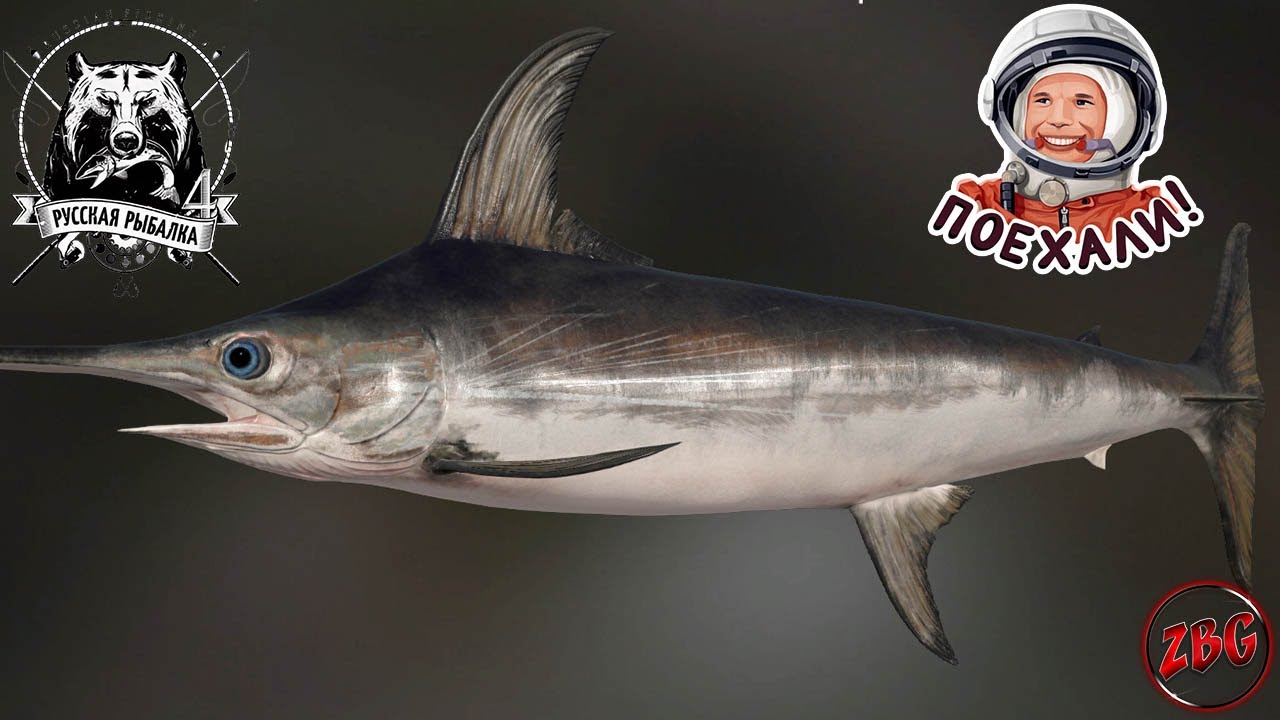 МЕЧ РЫБА - ПОЛЕТ В КОМОС - ПРЫЖОК - НОРВЕЖСКОЕ МОРЕ 💥 РУССКАЯ РЫБАЛКА 4 | RUSSIAN FISHING 4🐟 @Z-B-G