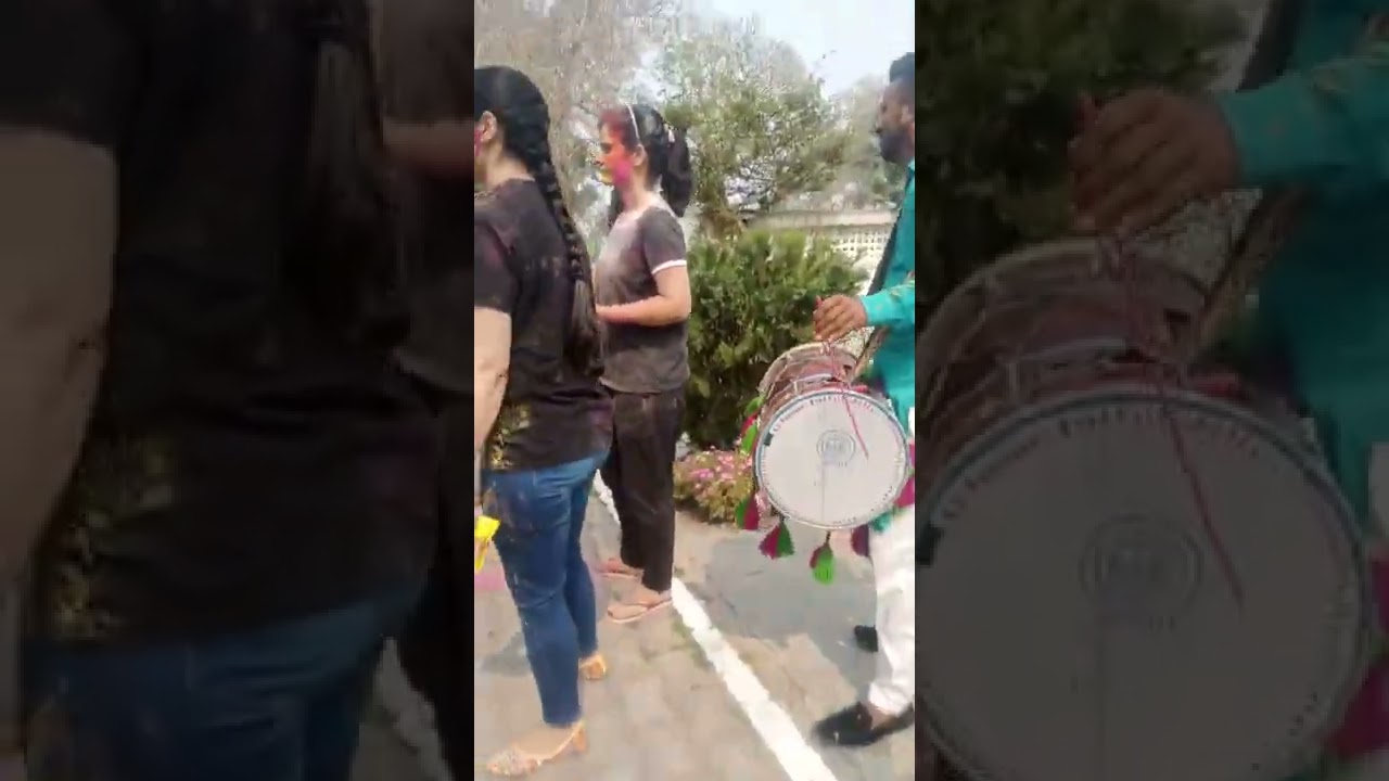 hunny Punjabi dhol Ambala Himachal
9817620289