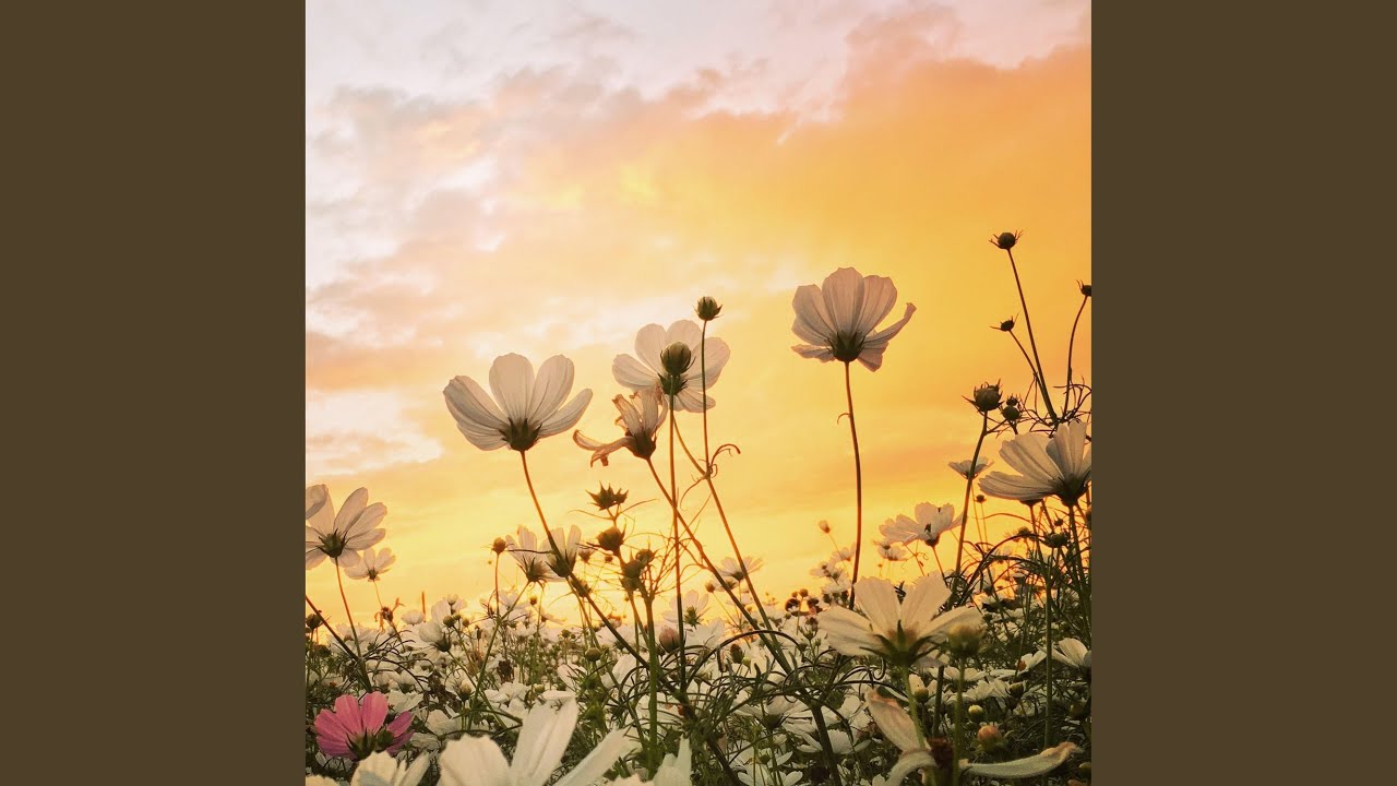 Essence