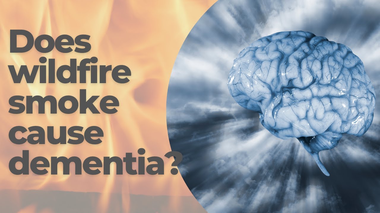 Wildfire smoke increases dementia risk