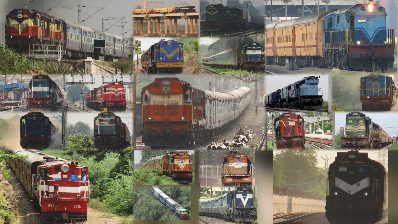 Independence week Special | A to Z Alco sheds and marvelous Alco actions