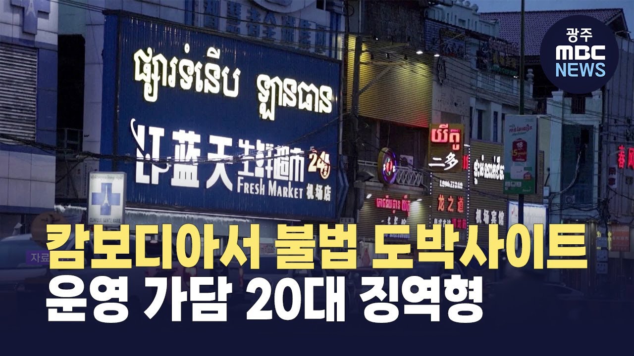 캄보디아서 불법 도박사이트 운영 가담 20대 징역형