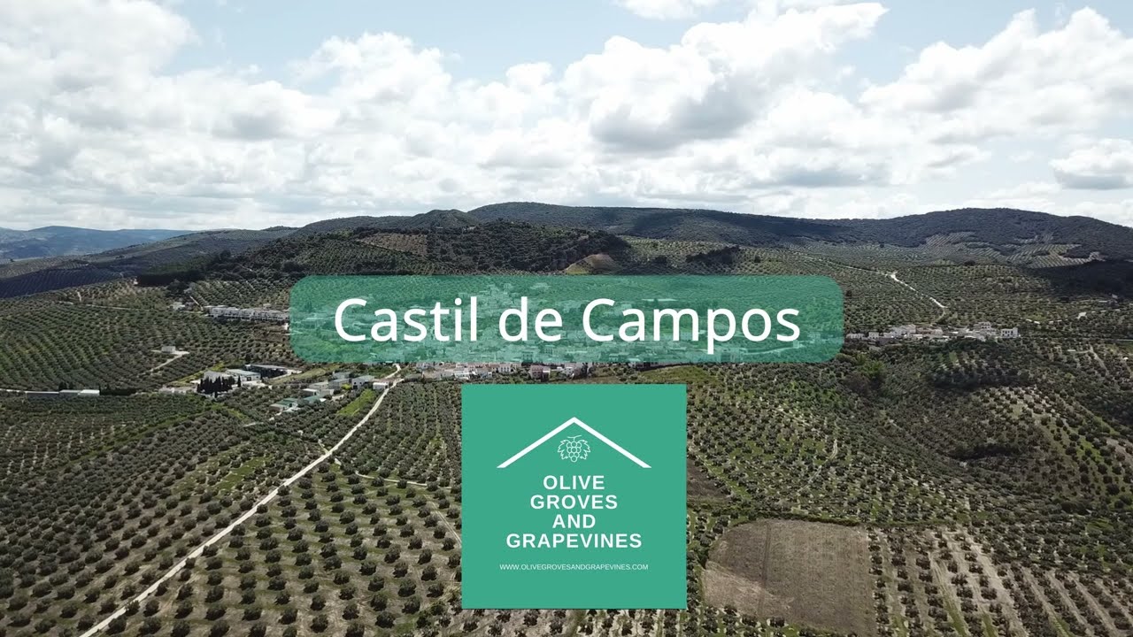 Castil de Campos: Introduction to the Village