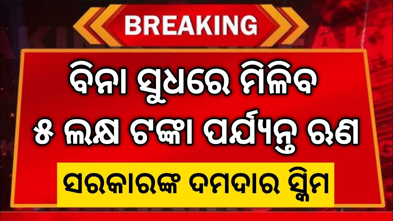 HOW to GET BUSINESS LOAN FROM GOVERNMENT // GOVERNMENT LOAN FOR BUSINESS STARTUP 
