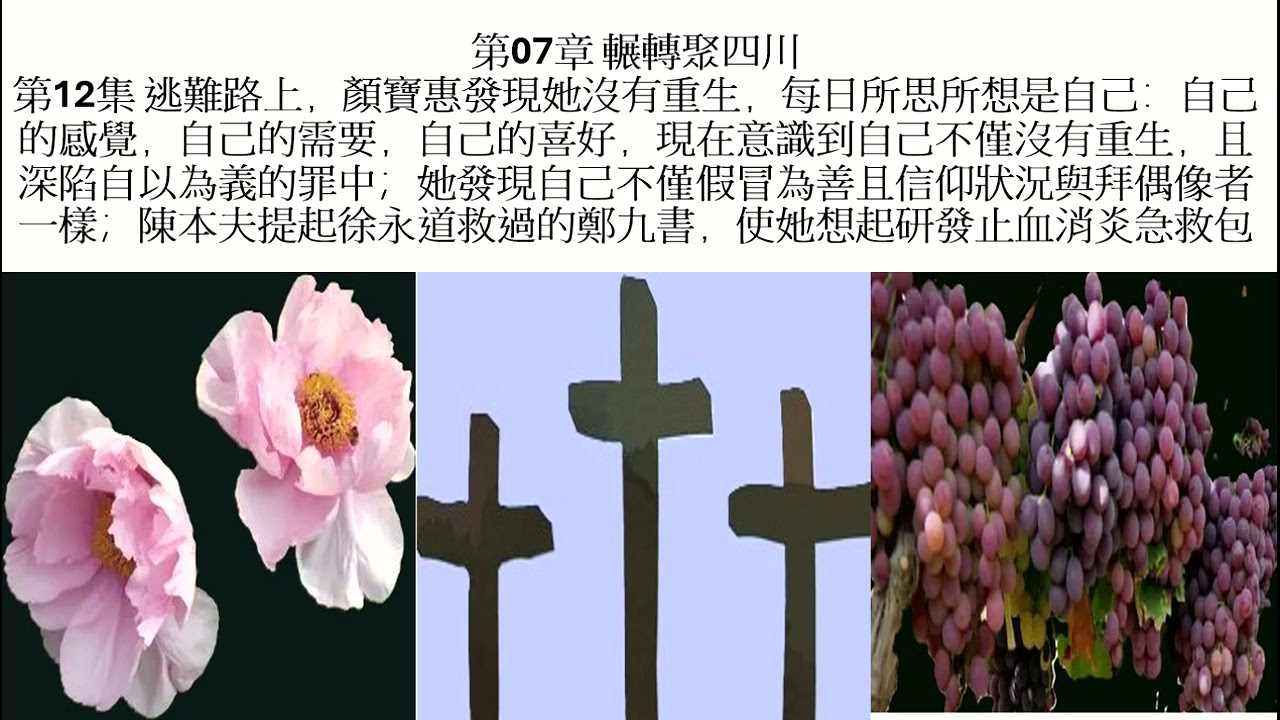 《苦楚至暂》I 第07章 辗转聚四川 I 第 12 集 宝惠发现自己没有重生，所思所想是自己，深陷自以为义的罪中，假冒为善，信仰状况如拜偶像者；陈本夫提起徐永道救过的郑九书，使她想起研发止血消炎急救包