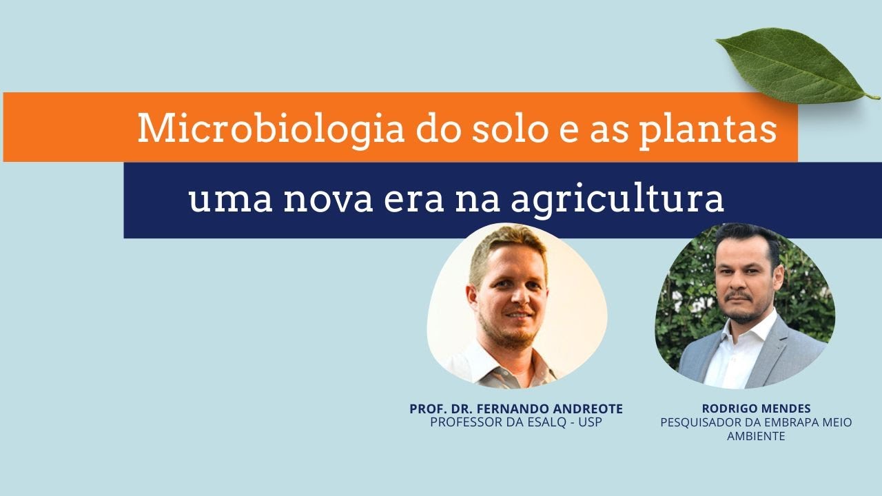 Microbiologia do solo e as plantas: uma nova era na agricultura