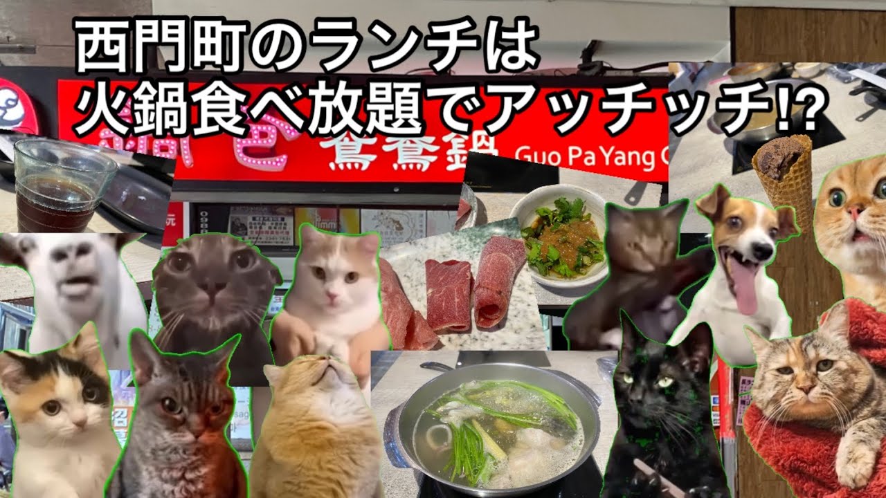 中日ファンが西門町で火鍋を食べただけの話【猫ミーム】　#猫ミーム #火鍋 