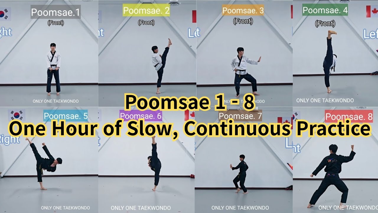 Poomsae 1-8 (One Hour of Slow, Continuous Practice)