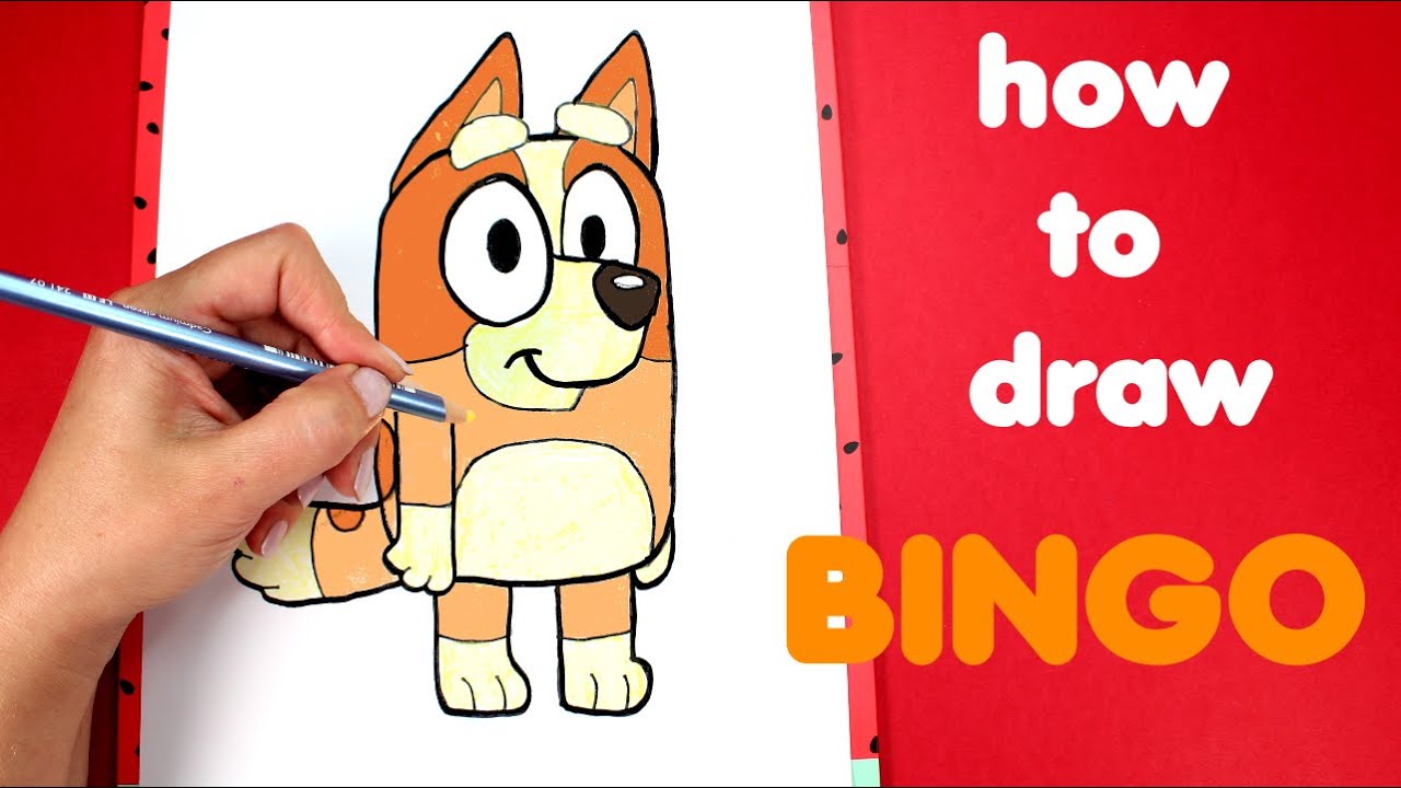 How to Draw Bingo | Drawing and Coloring for Kids