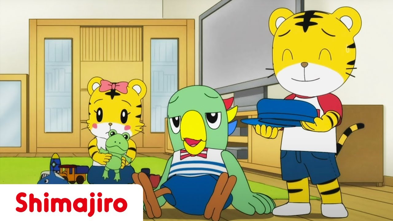 Young Sibling Education 👀 Brother & Sister | Kids videos for kids | Shimajiro