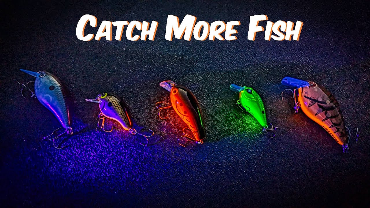 Unleash Your Fishing Potential: A Beginner's Guide to UV Lures