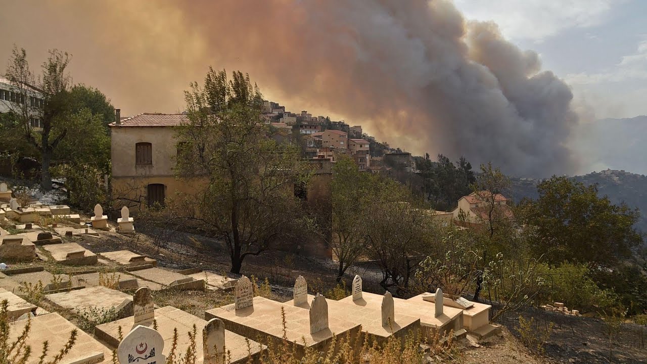 At least 42 killed in Algeria wildfires
