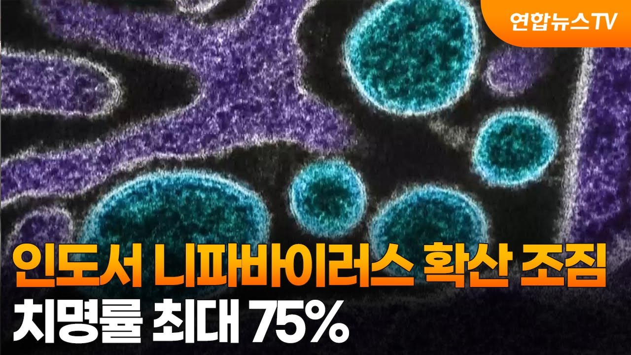 인도서 니파바이러스 확산 조짐…치명률 최대 75% / 연합뉴스TV (YonhapnewsTV)